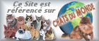 chats du monde